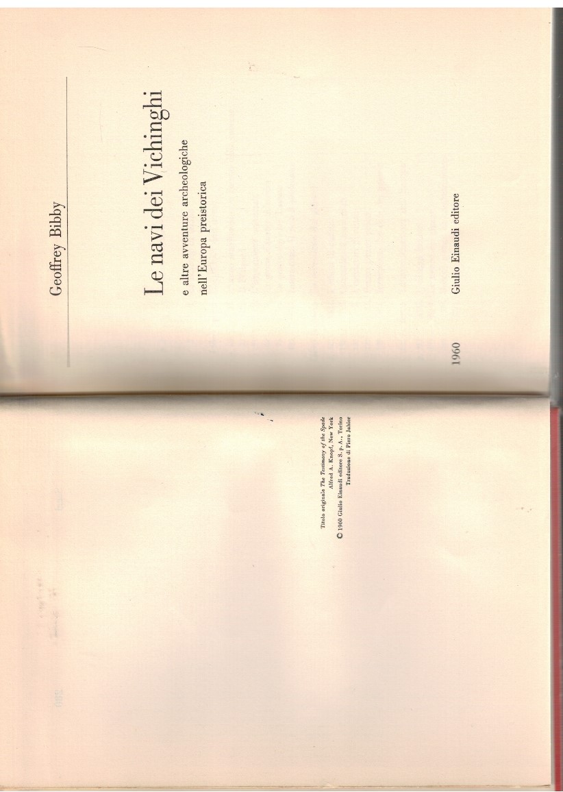 Le navi dei Vichinghi e altre avventure archeologiche nell'Europa preistorica
