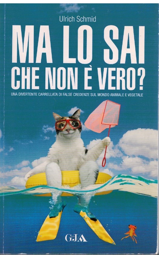 Ma lo sai che non è vero?