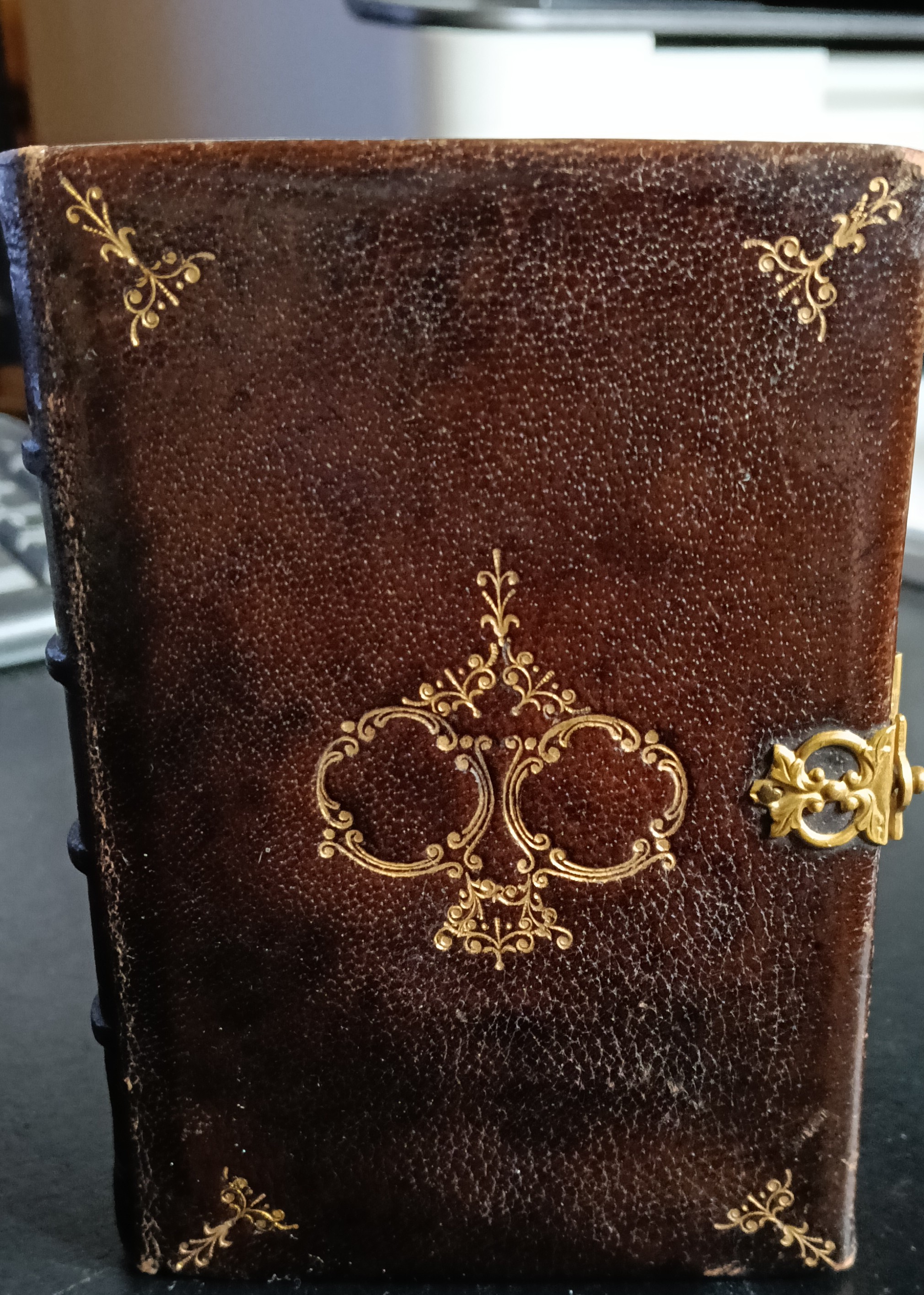 Manuale di pietà e devozione coll'aggiunta del vespro delle domeniche …