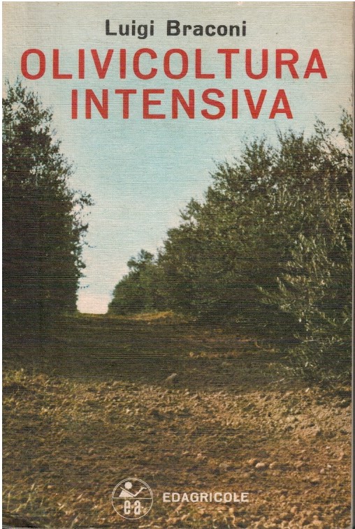 Olivicoltura intensiva