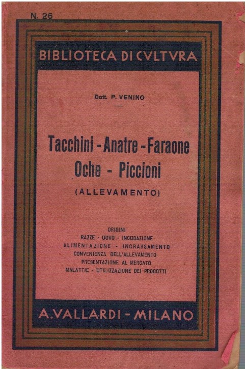 Tacchini - Anatre - Faraone - Oche - Piccioni (Allevamento)