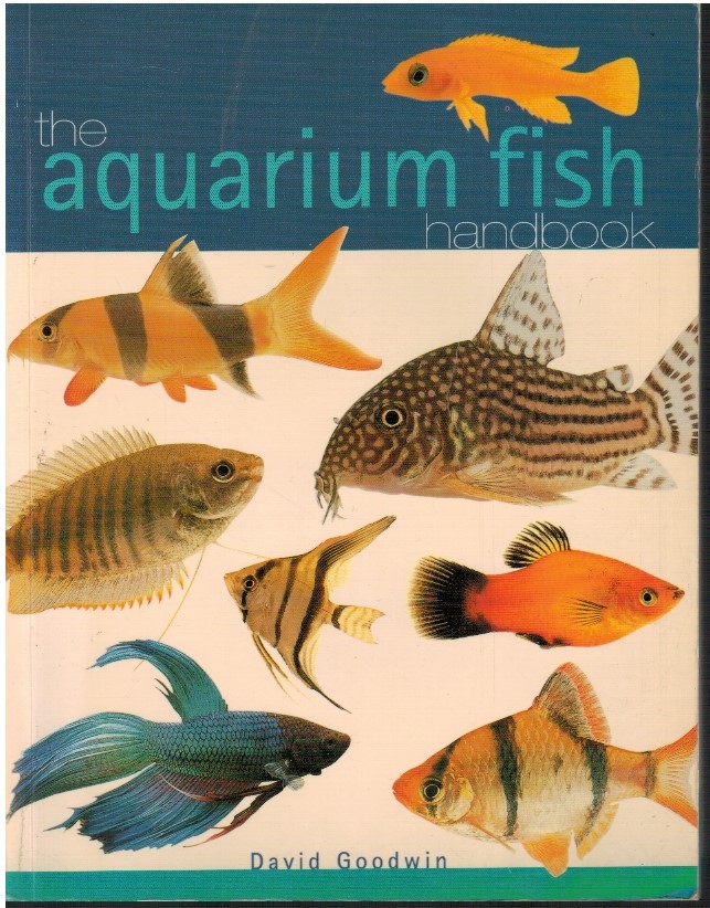 The aquarium fish