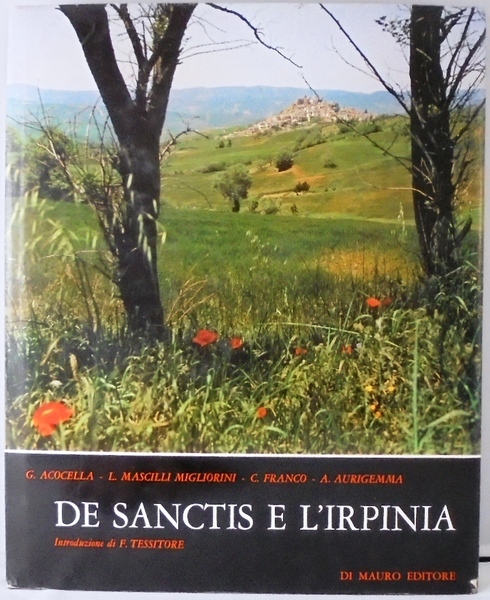 DE SANCTIS E L`IRPINIA