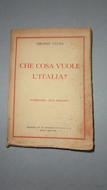 CHE COSA VUOLE L`ITALIA?