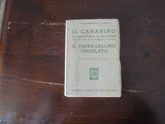 IL CANARINO