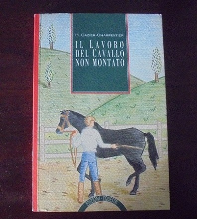 IL LAVORO DEL CAVALLO NON MONTATO