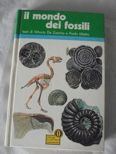 IL MONDO DEI FOSSILI