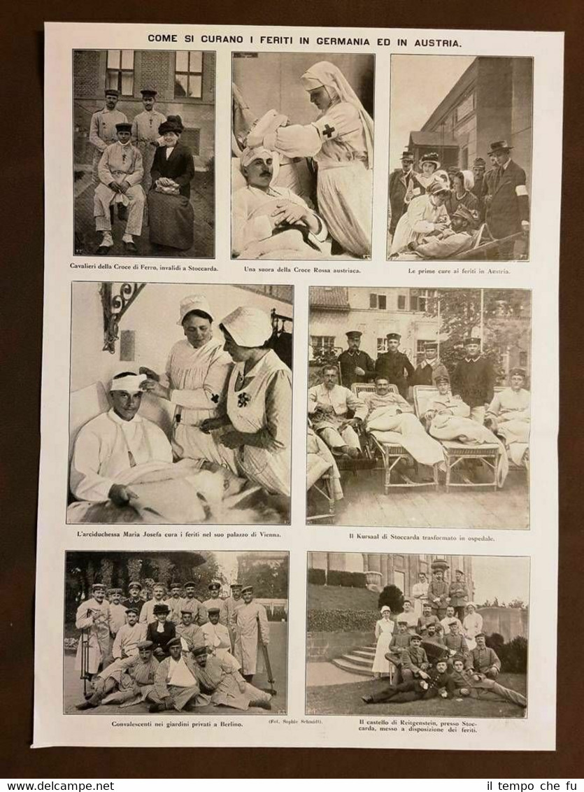 1915 Feriti Germania Austria Croce Rossa Maria Josefa WW1 Prima …