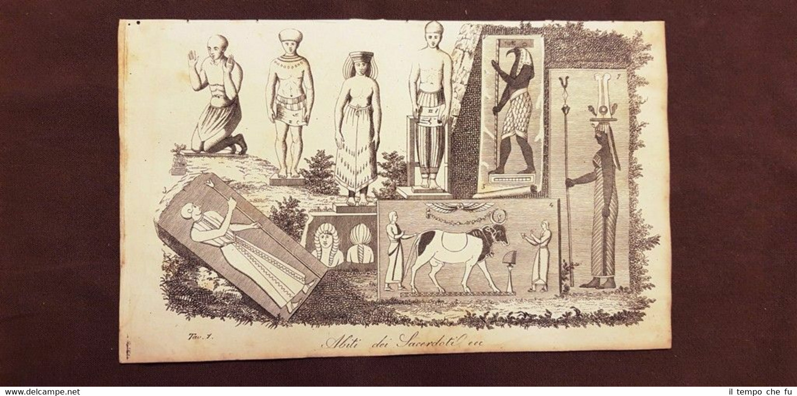 Abiti di Sacerdoti egiziani Egitto Acquaforte del 1830 Costume antico …