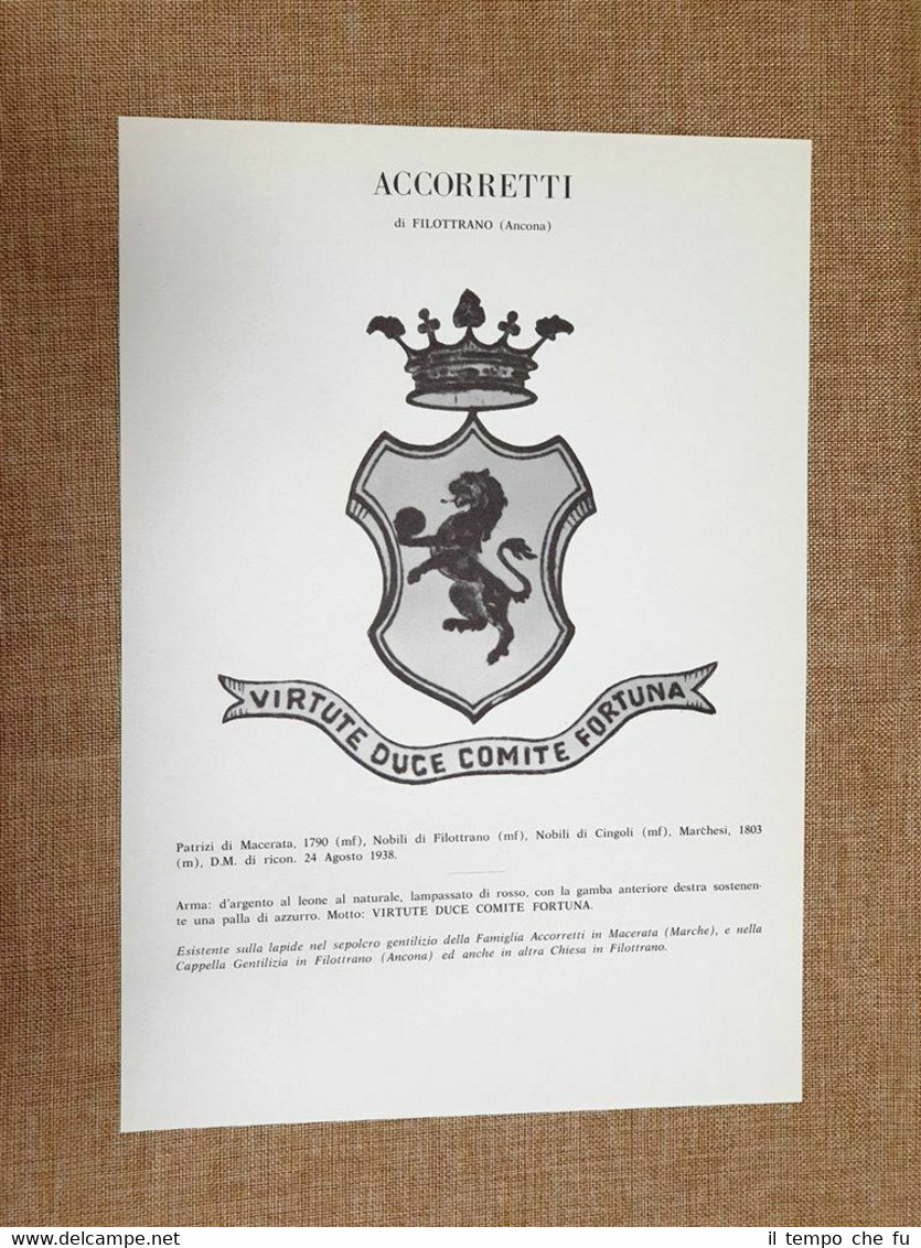 Accorretti di Filottrano (Ancona) Stemma Famiglia Nobile Nobiltà Araldica