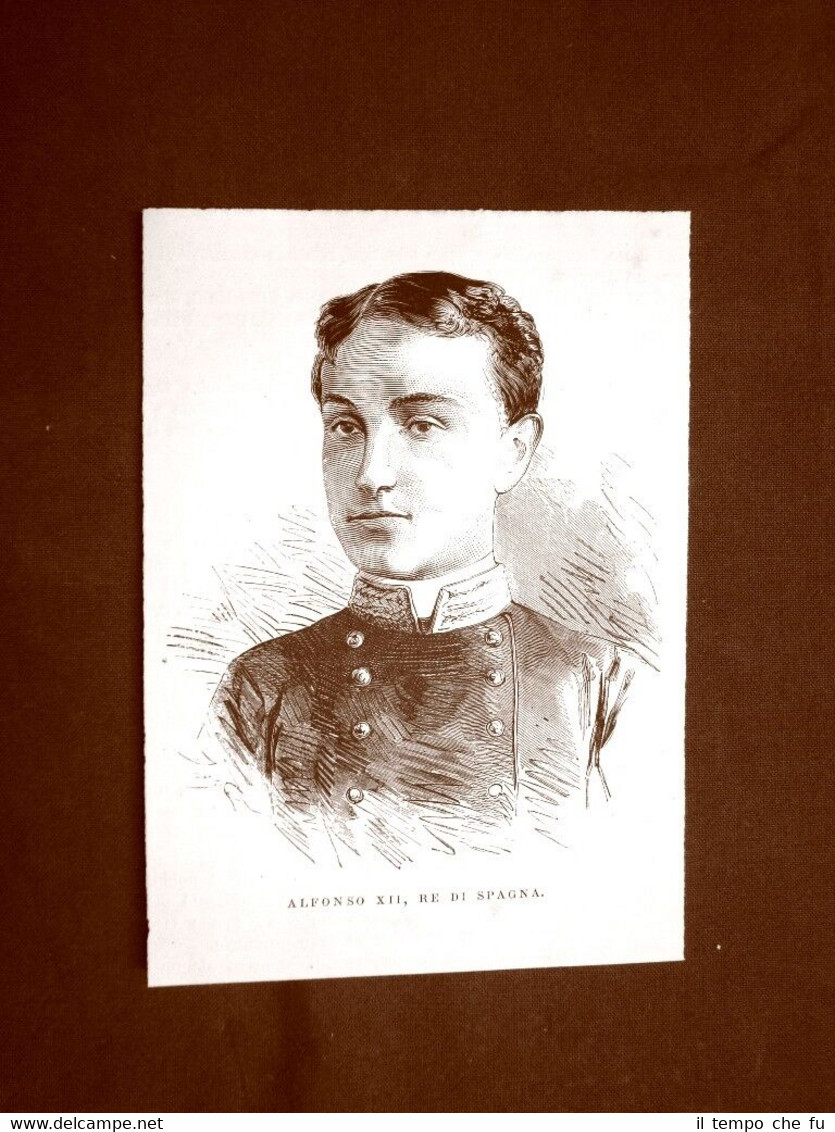 Alfonso XII di Borbone nel 1875 Madrid, 1857 – 1885 …