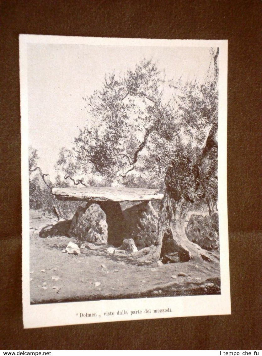 Anno 1909 Dolmen visto dalla parte di mezzodì