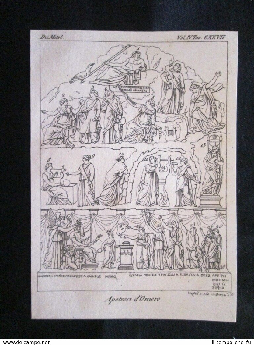 Apoteosi d'Omero Incisione all'acquaforte del 1820 Mitologia Pozzoli