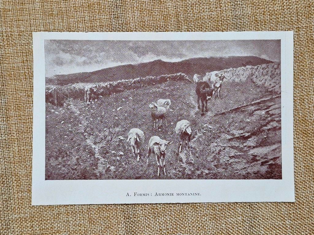Armonie montanine quadro di A. Formis paesaggio alpino Stampa del …