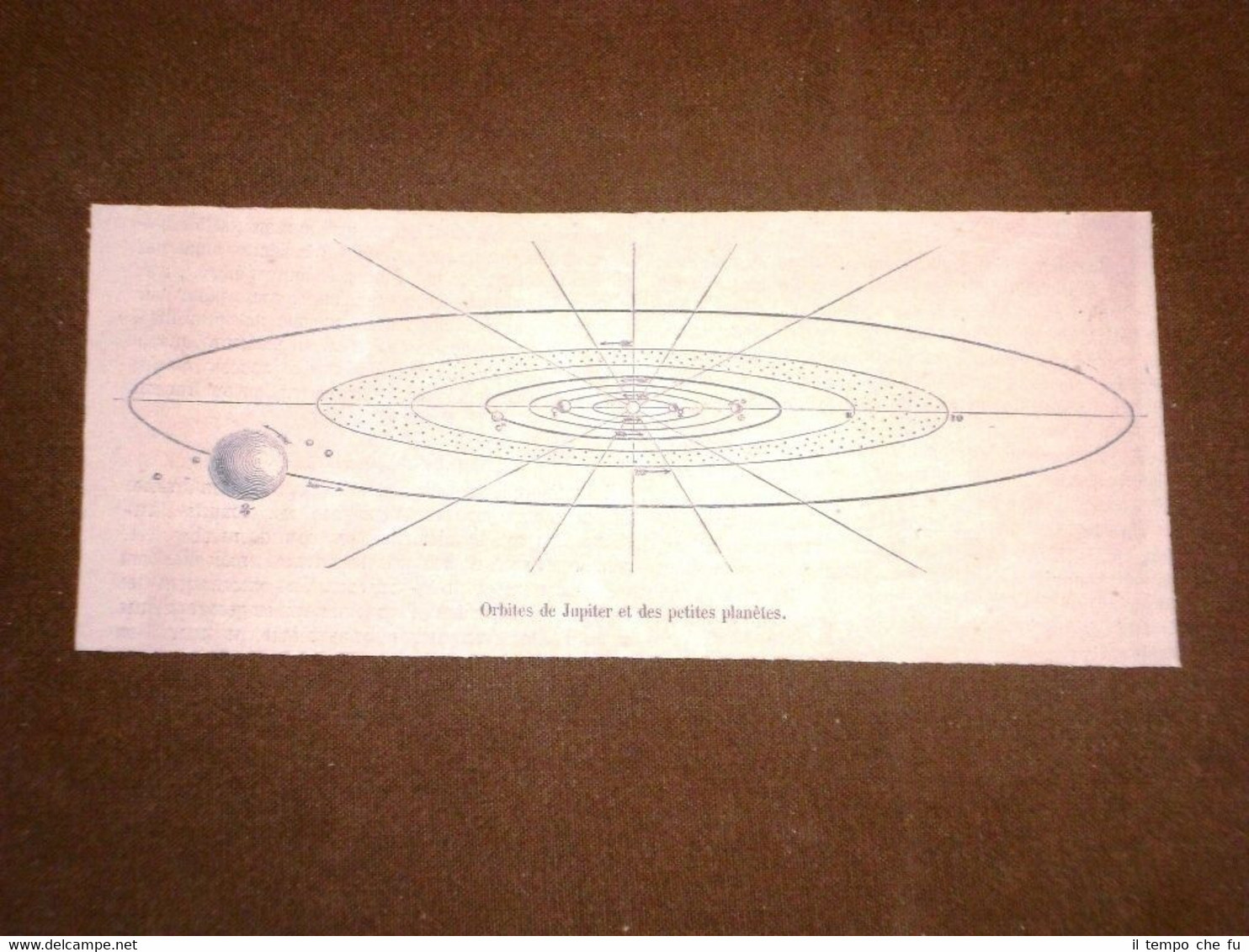 Astronomia L'orbita di Giove e dei piccoli pianeti intorno al …