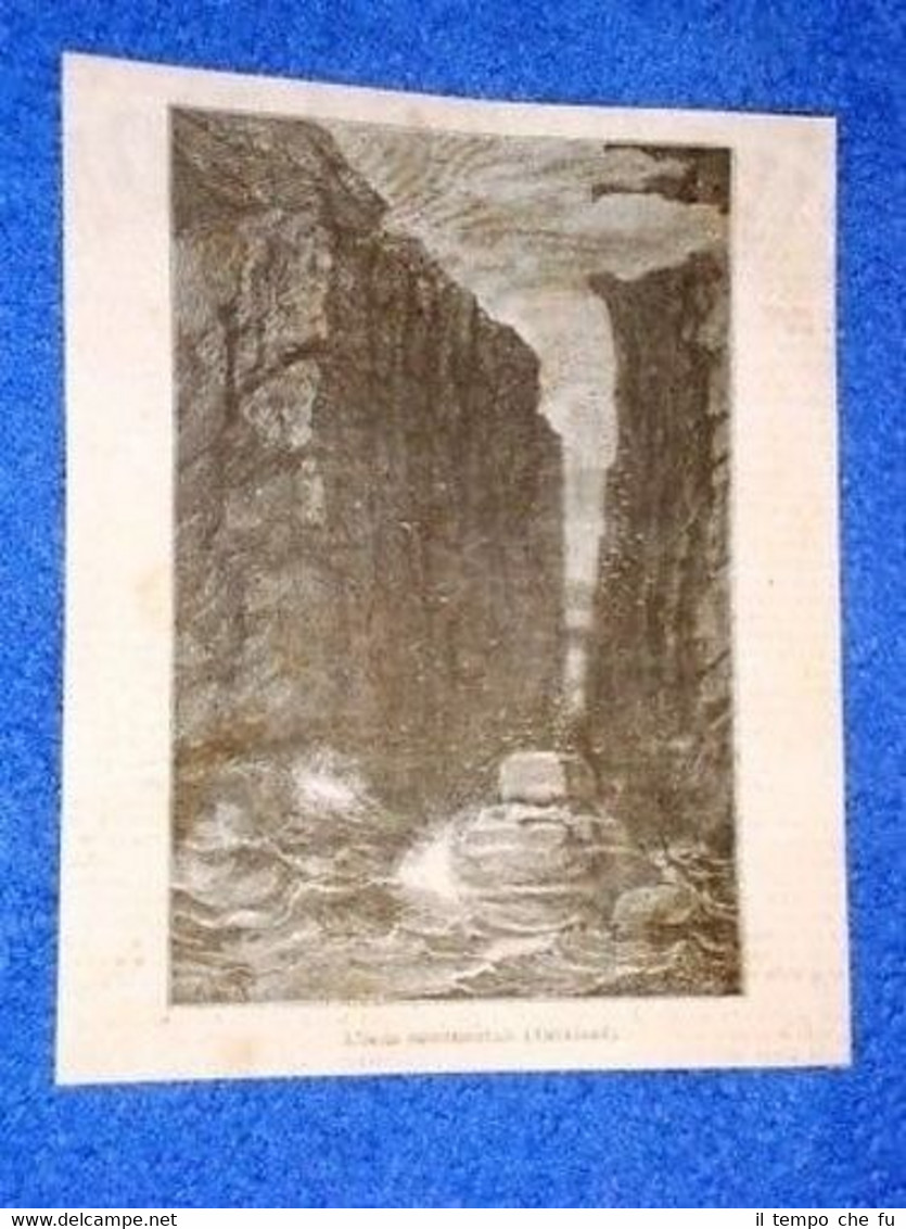 Auckland Isola Monumentale Nuova Zelanda