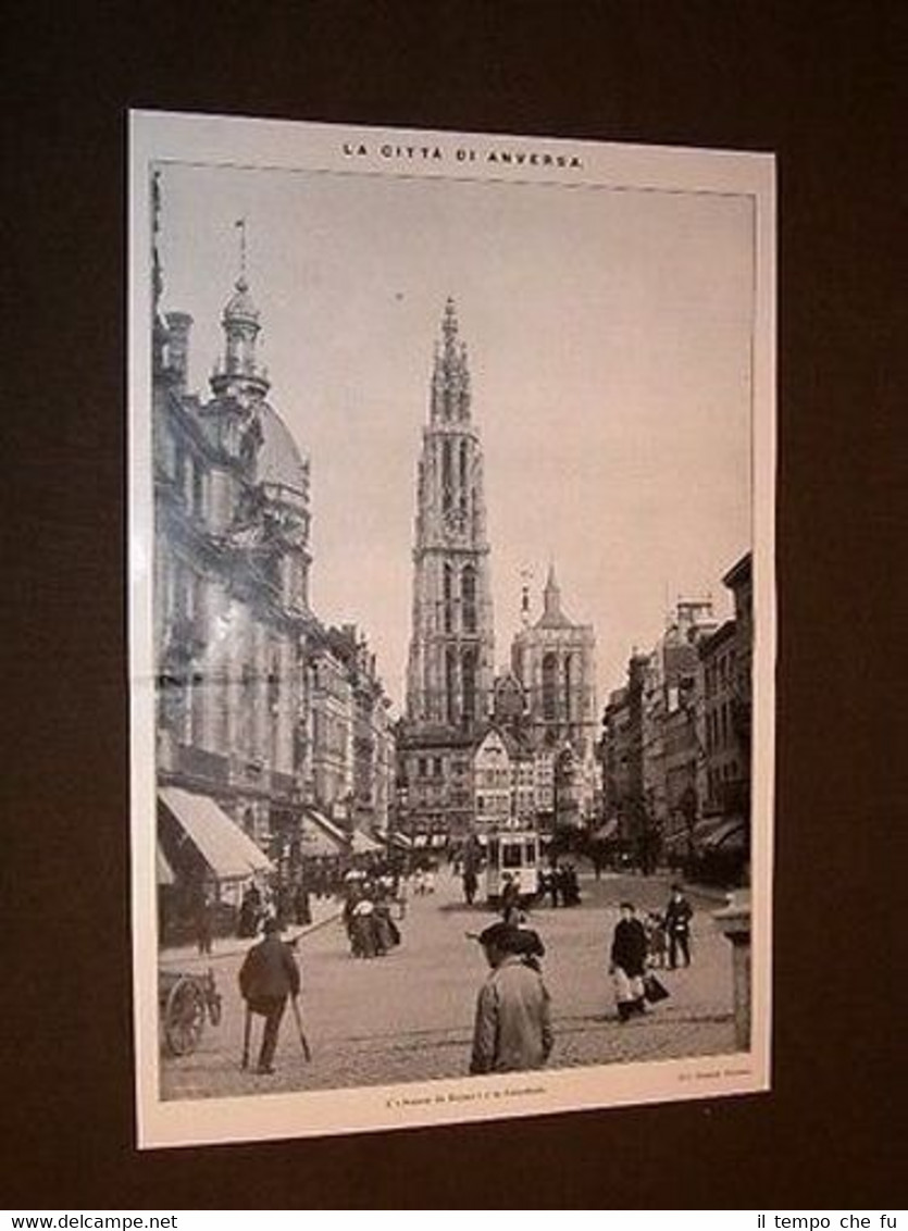 Avenue du Kayser e la Cattedrale con Tram Anversa o …
