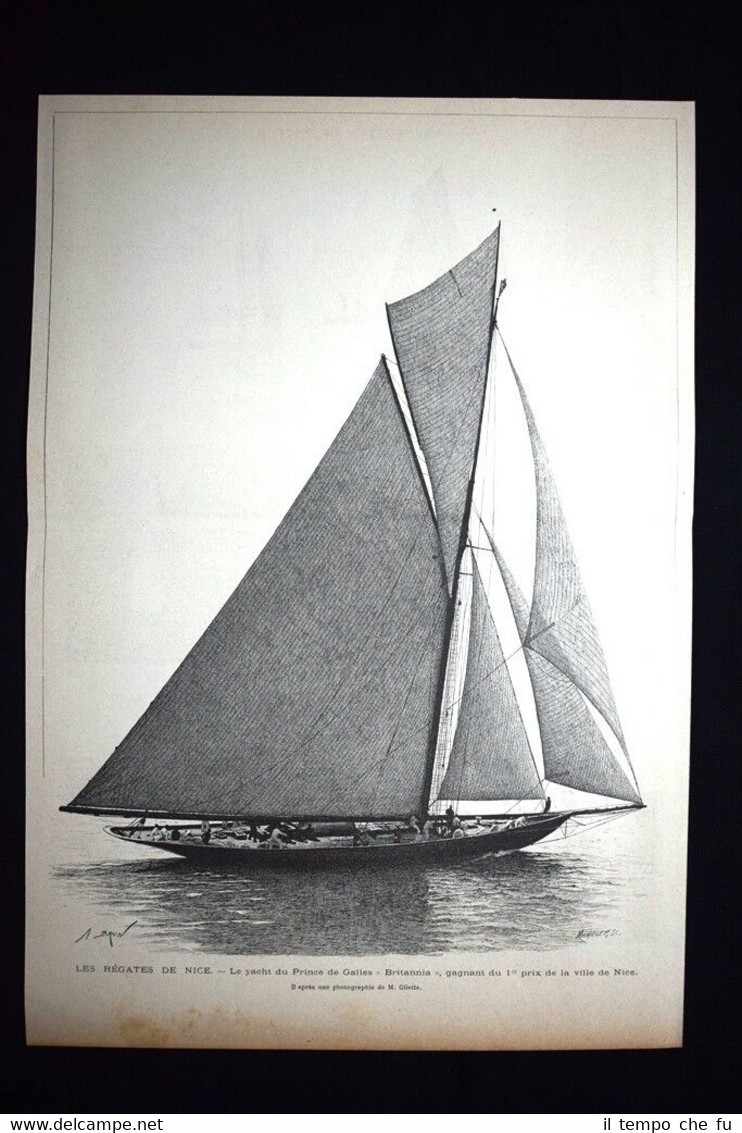Barca Principe di Galles "Britannia", vincitore Regate Nizza Incisione del …