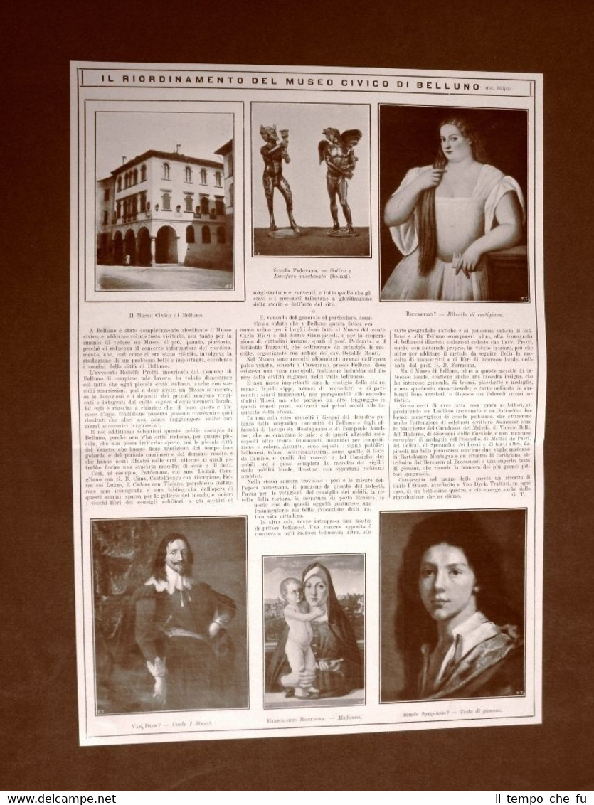 Belluno nel 1910 Il riordino del Museo civico Satiro e …