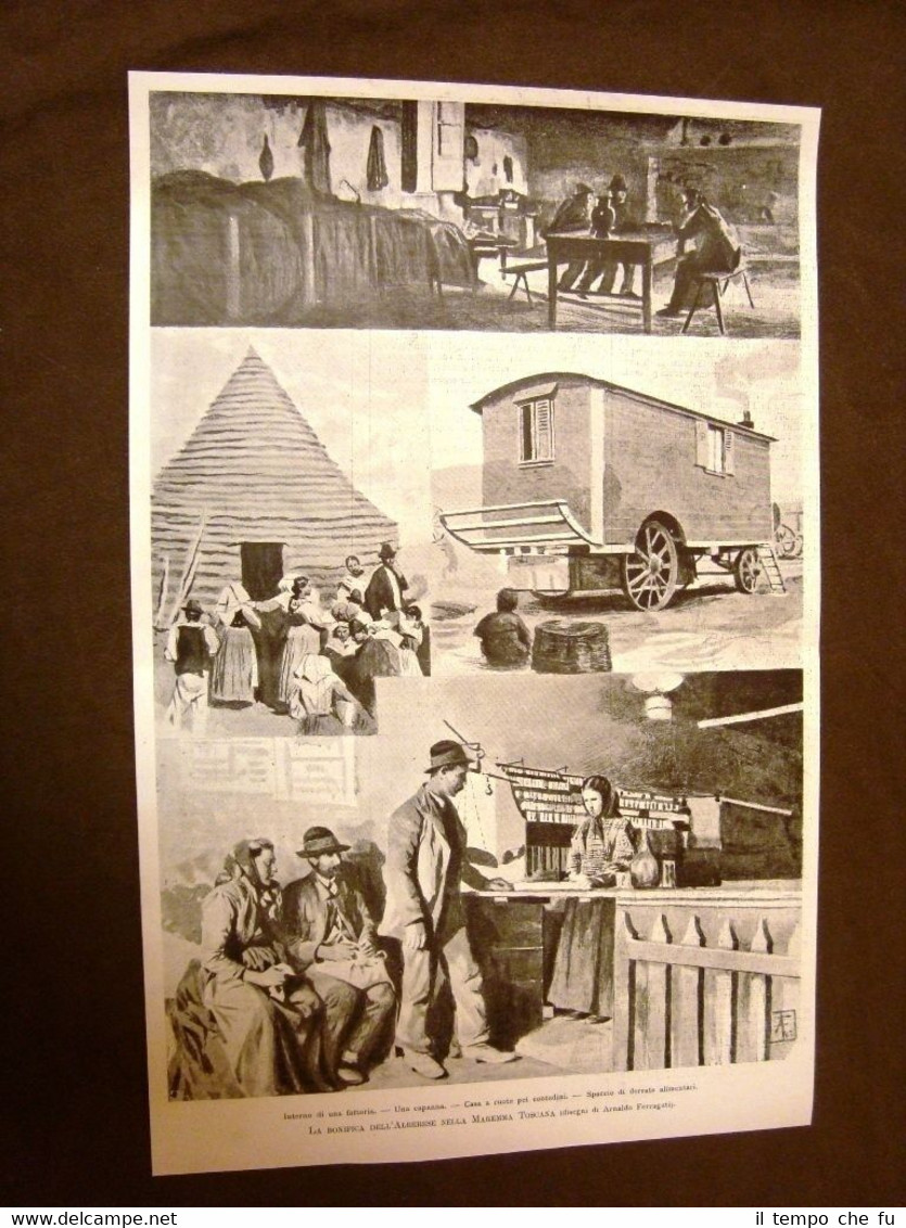 Bonifica dell'Alberese nel 1899 Maremma Toscana Casa a ruote, fattoria, …
