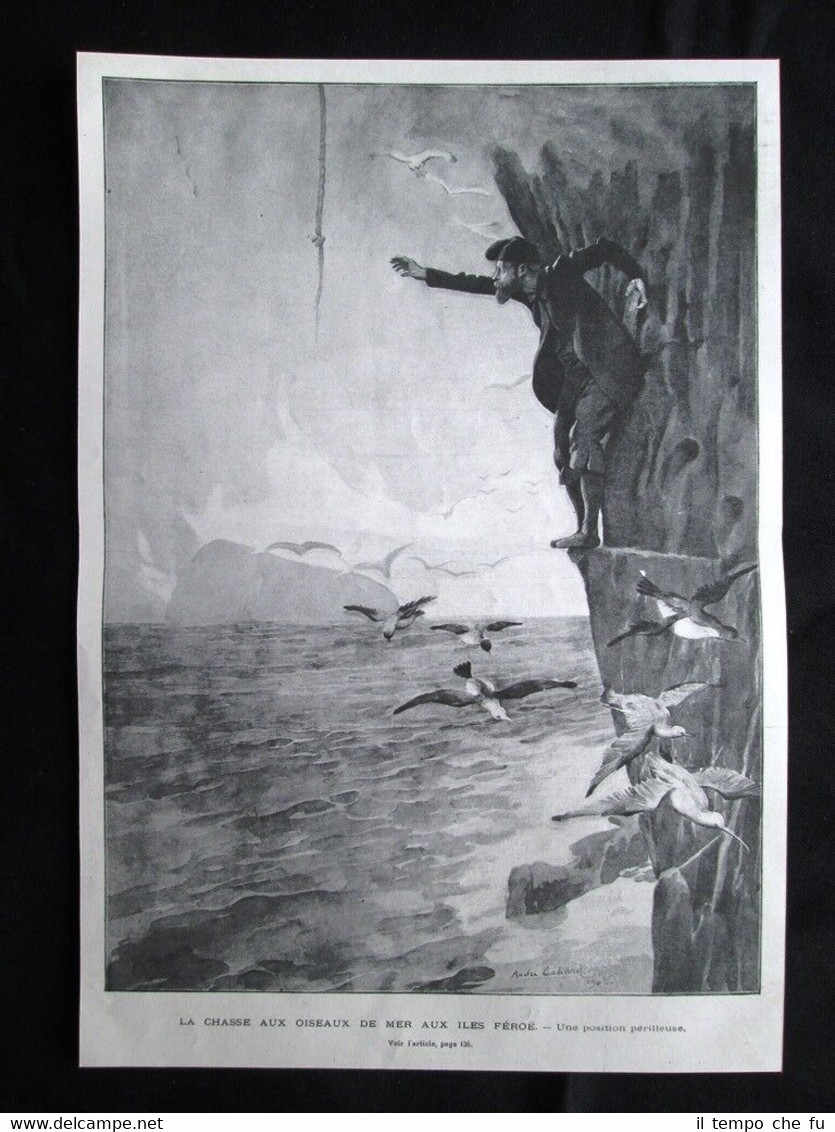 Caccia agli uccelli di mare, Isole Faroe - Posizione pericolosa …