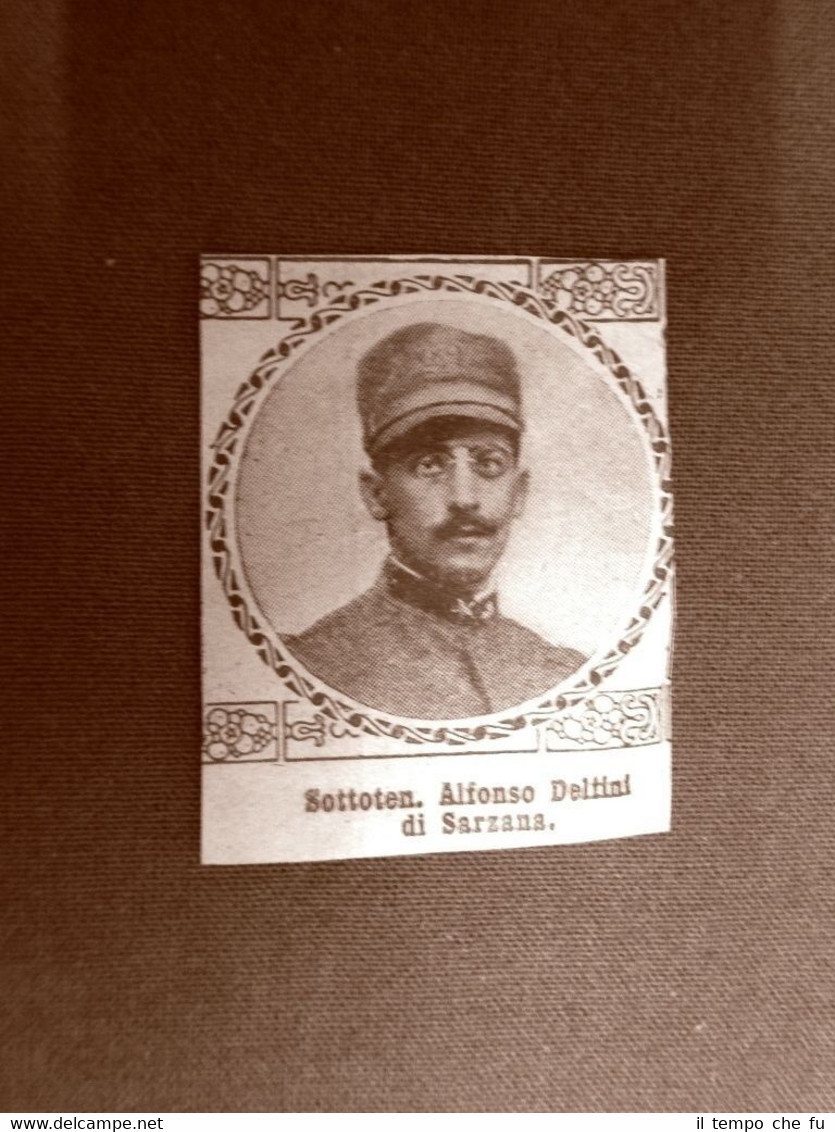 Caduto per la Patria Alfonso Delfini di Sarzana Prima Guerra …