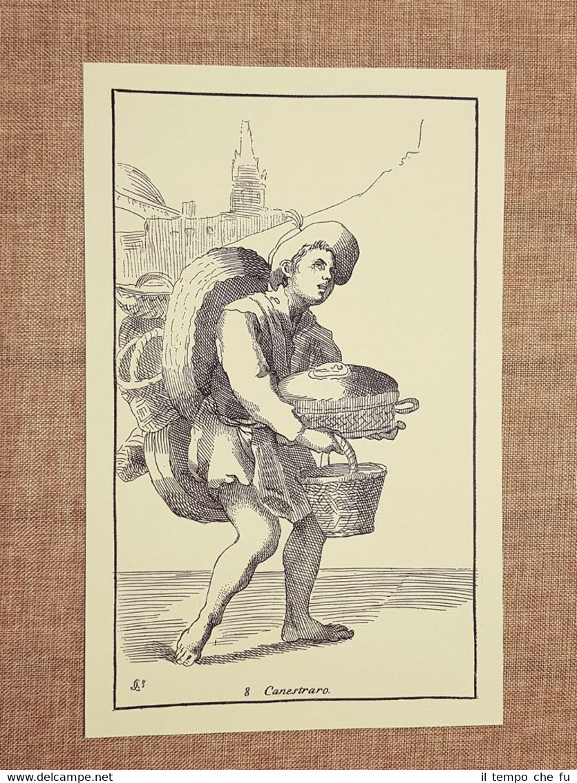 Canestraro Arti di Bologna Tavola di Annibale Carracci del 1646 …