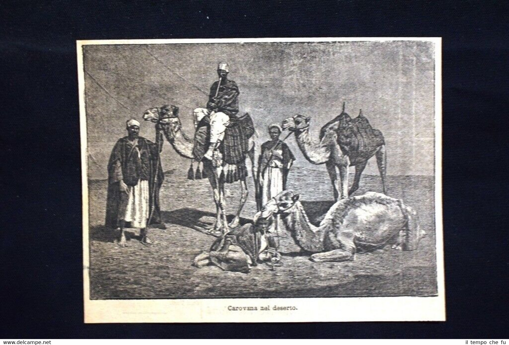 Carovana nel deserto Incisione del 1885