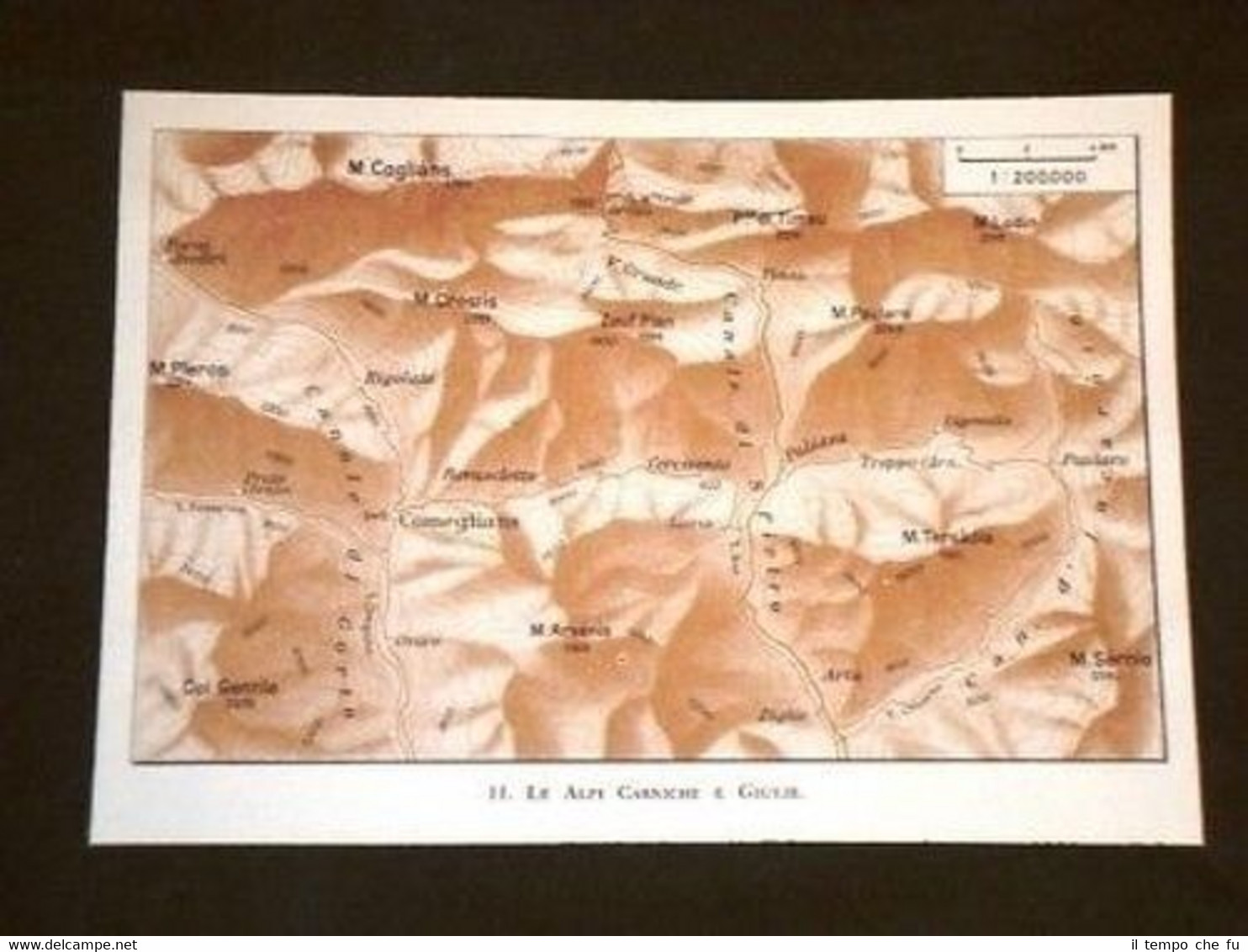 Cartina Alpi Carniche e Giulie