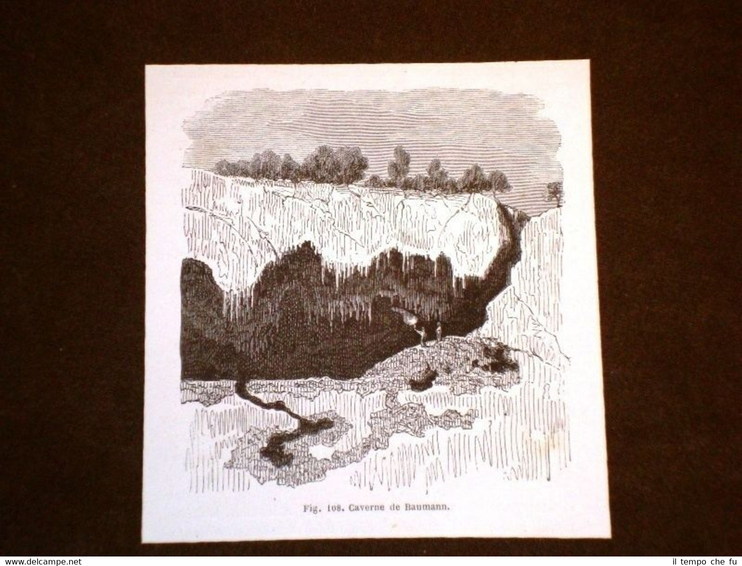 Caverna di Baumann nel 1864