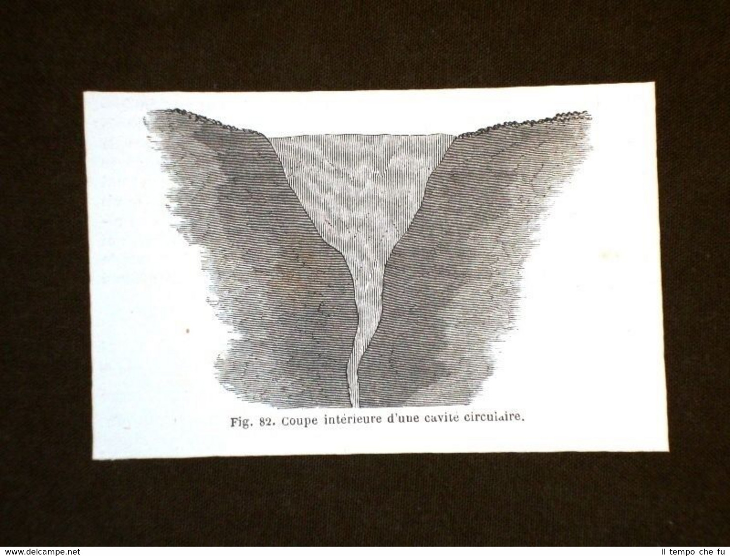 Cavità circolari a Rosarno nell'anno 1864 Sezione interna