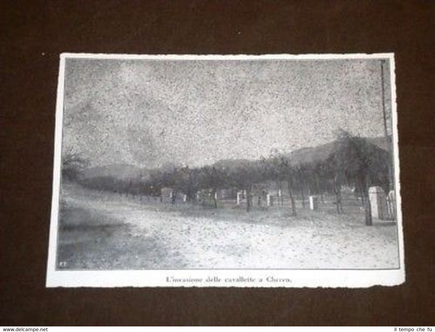 Cheren Keren Cavallette e Scuola Salvago Raggi Eritrea