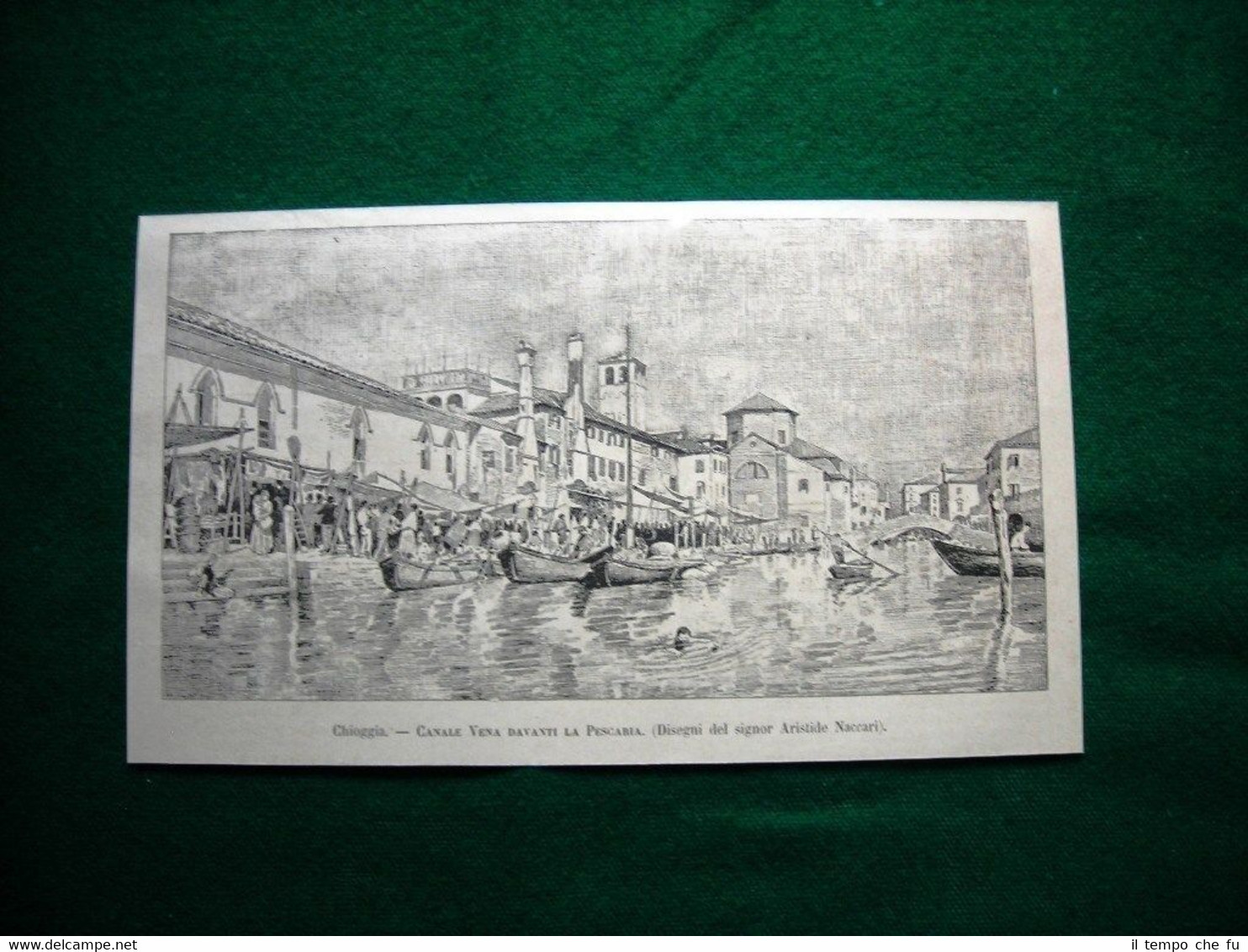 Chioggia nel 1884 - Canale Vena davanti la Pescaria