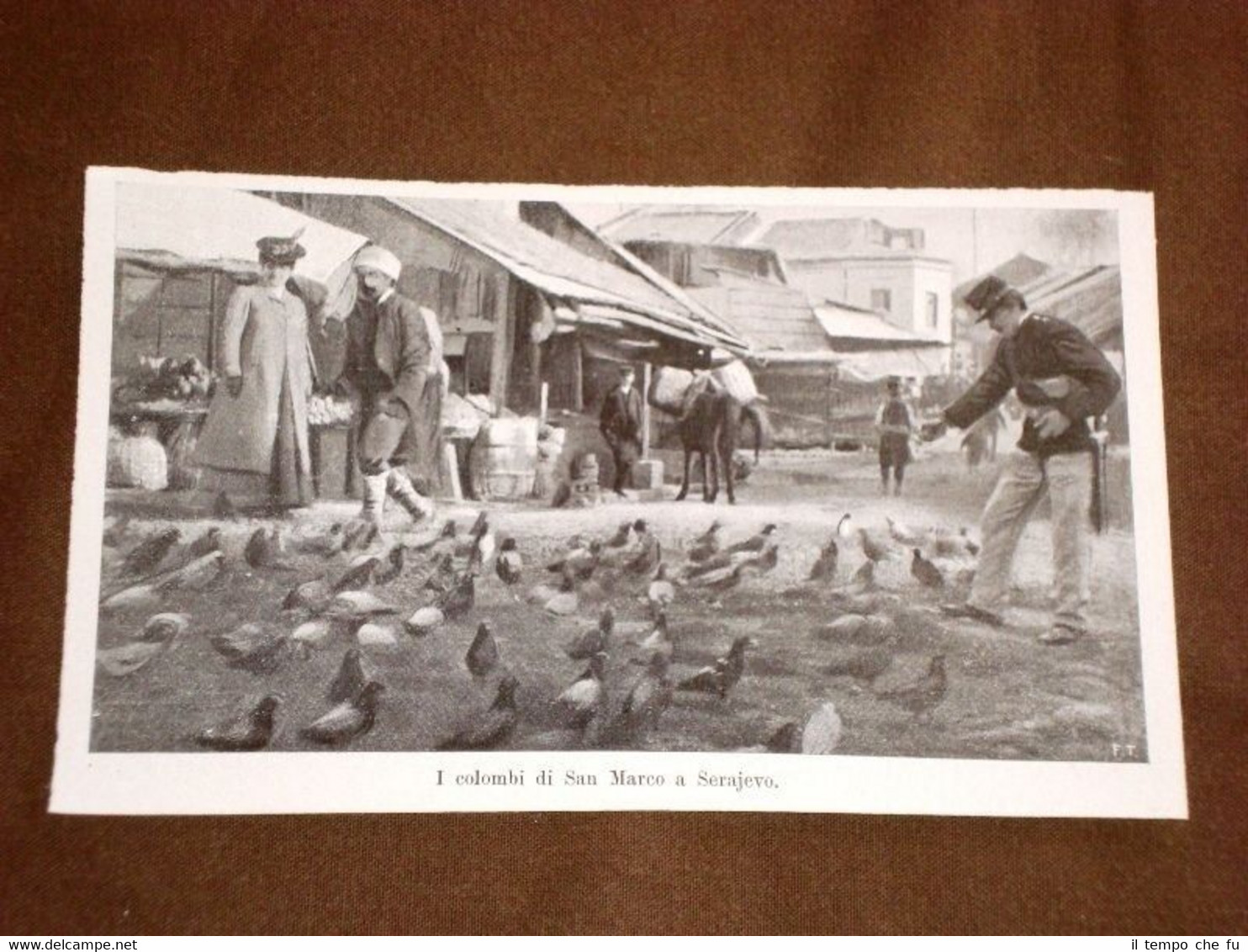 Colombi di San Marco a Sarajevo nel 1909 Bosnia ed …