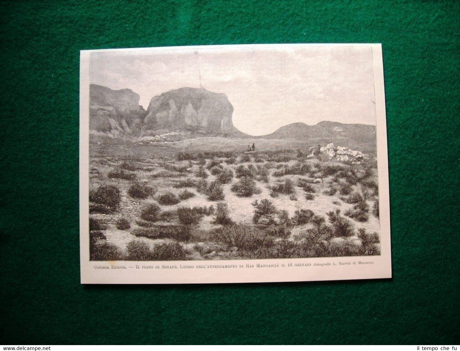 Colonia Eritrea nel 1895 - Piano di Senafè, luogo attendamento …
