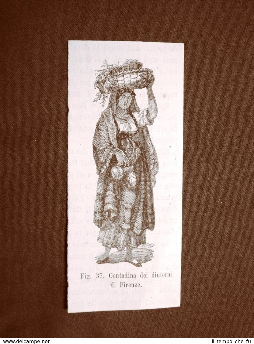 Contadina di Firenze nel 1883 Toscana Italia Moda e costume