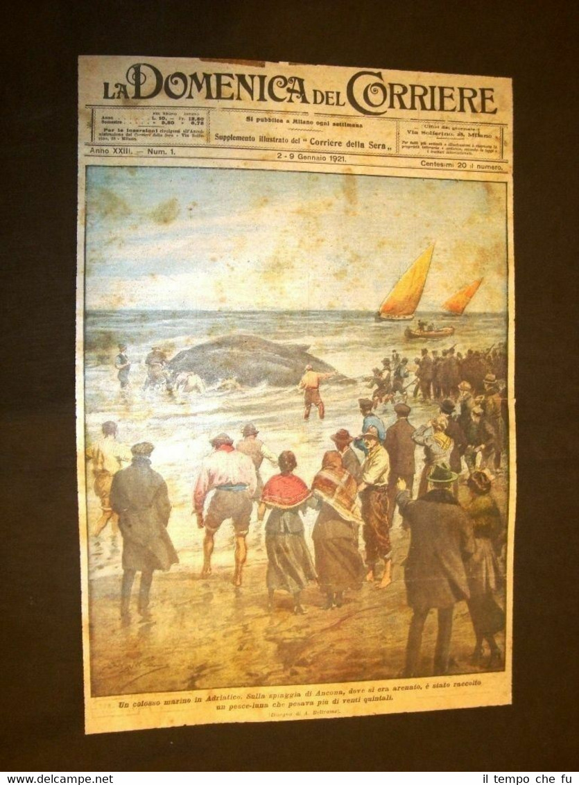 Copertina La Domenica del Corriere 9 gennaio 1921 Ancona Pesce …