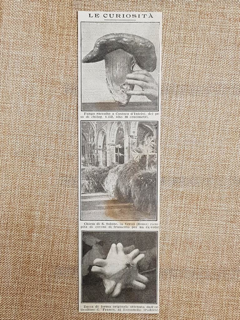 Curiosità 1914 Fungo a Casasco d'Intelvi Chiesa S.Solone Veroli Zucca …