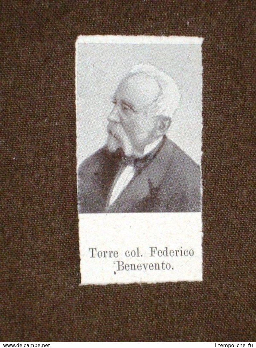 Deputato del 1° Parlamento d'Italia del 1861 Colonn. Federico Torre …
