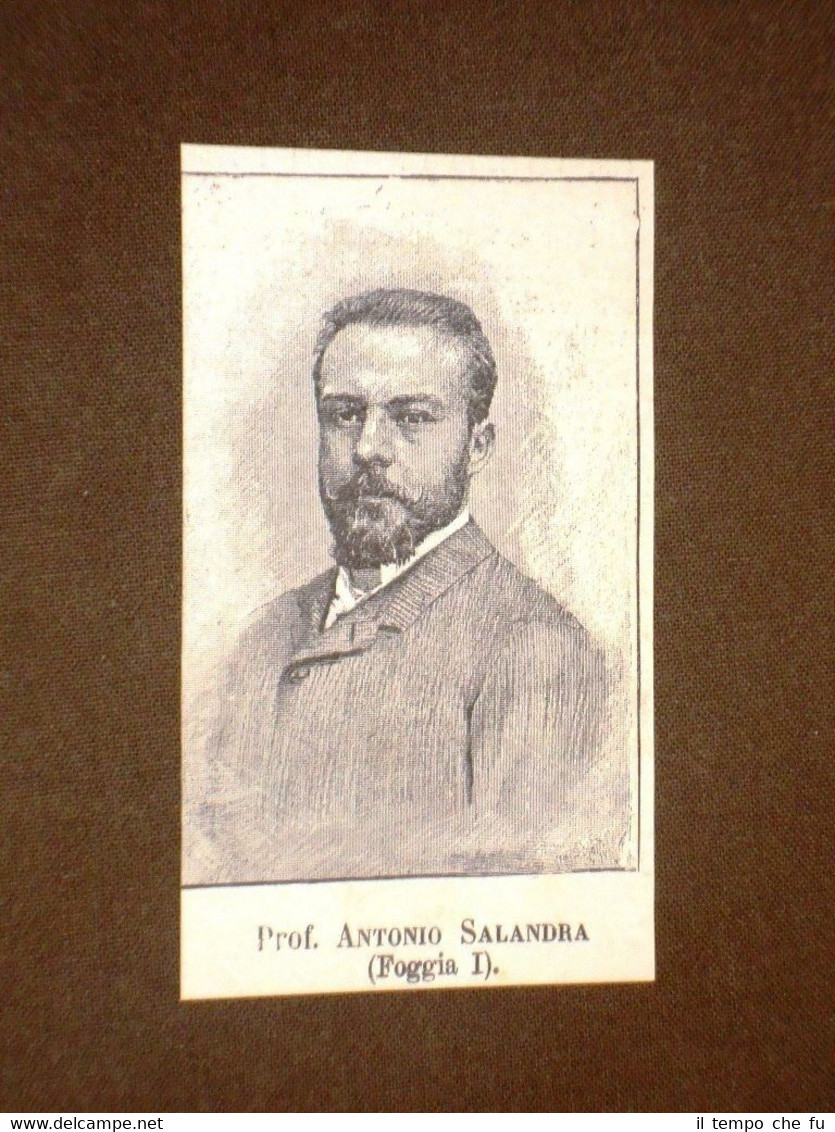 Deputato nel 1886 Onorevole Professore Antonio Salandra di Foggia