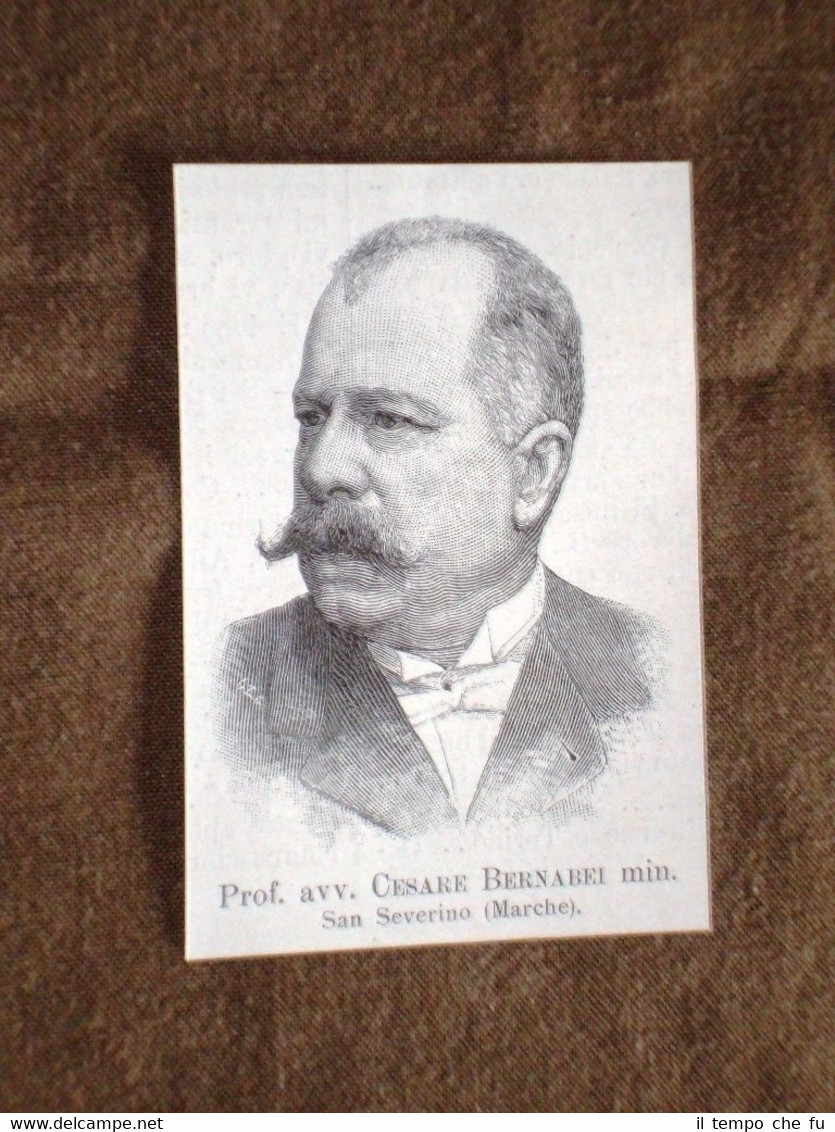 Deputato nel 1895 Onorevole Professore Avvocato Cesare Bernabei di San …