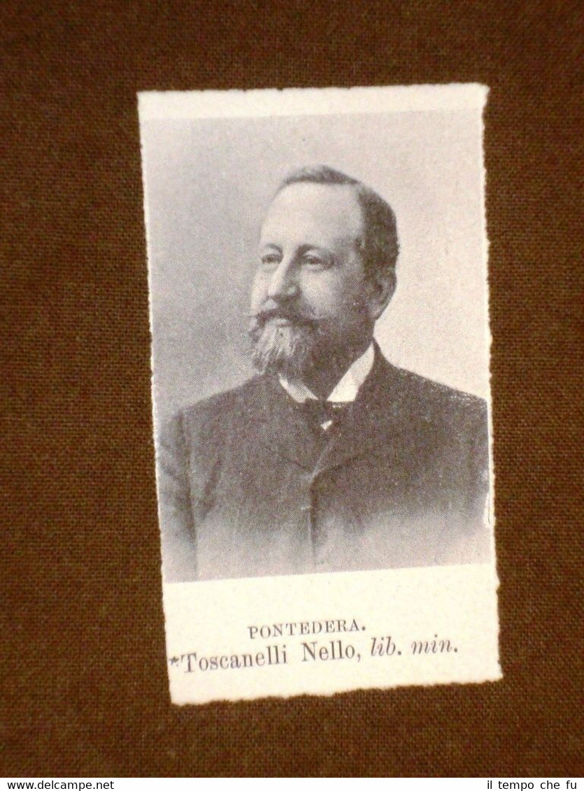 Deputato nel 1909 Onorevole Toscanelli Nello di Pontedera