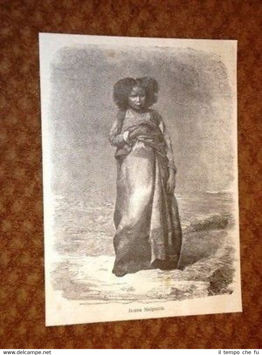 Donna Malgascia o del Madagascar