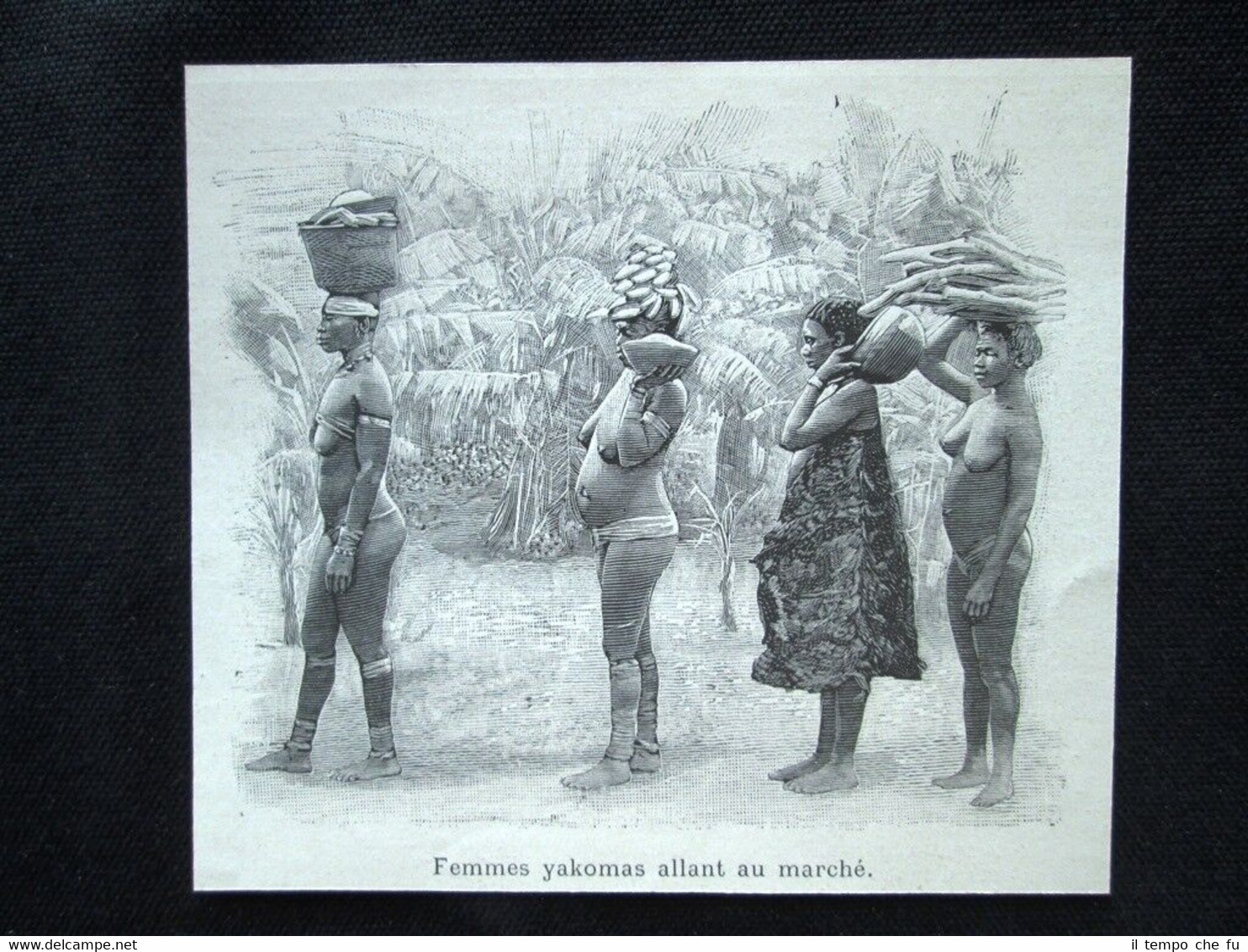 Donne yakoma al mercato - Ubangi-Sciari, Africa centrale Incisione del …