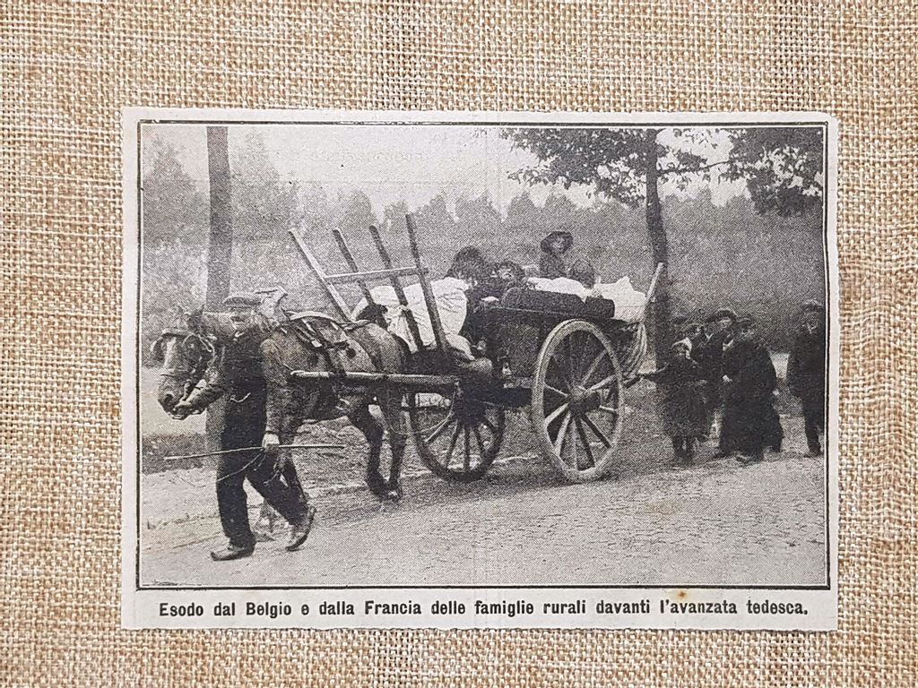 Esodo da Belgio e Francia per l'avanzata tedesca 1914 Prima …