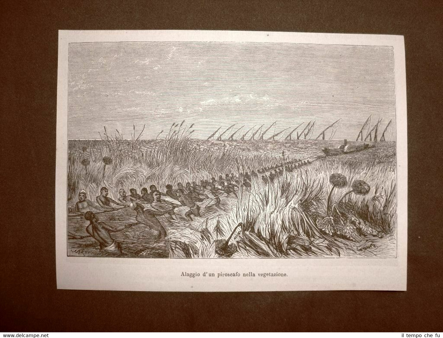 Esplorazione dell'Africa centrale 1863 Alaggio di un piroscafo nella vegetazione