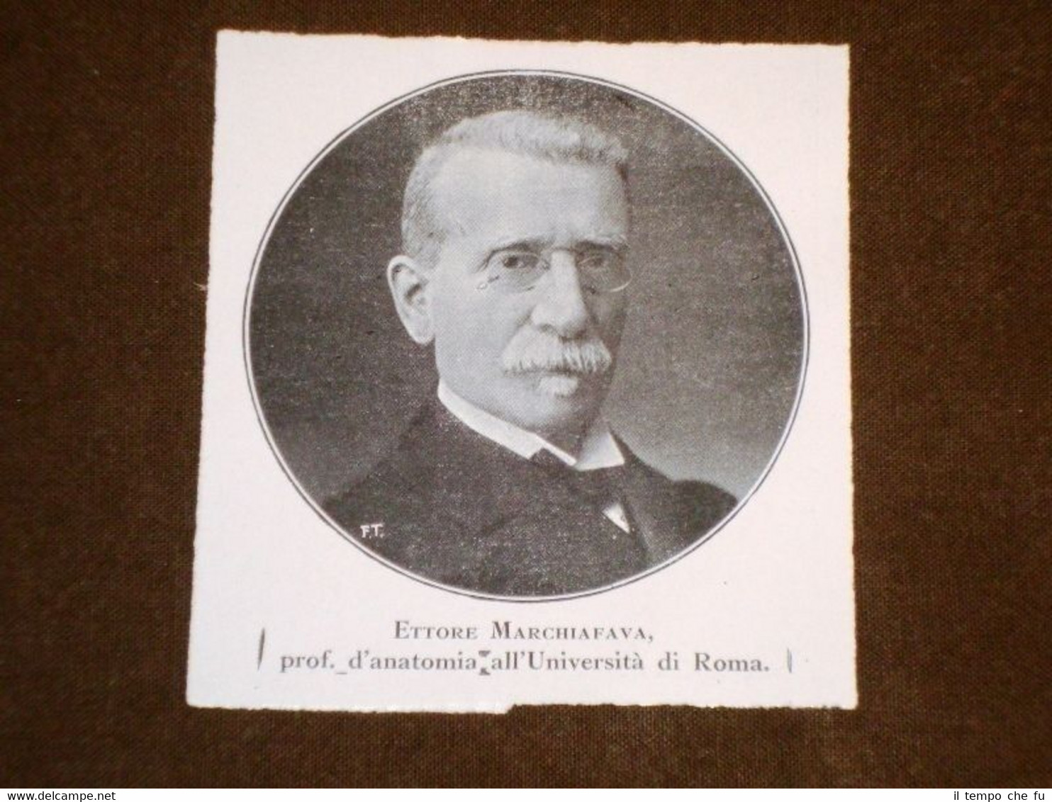Ettore Marchiafava Professore d'anatomia all'Università di Roma
