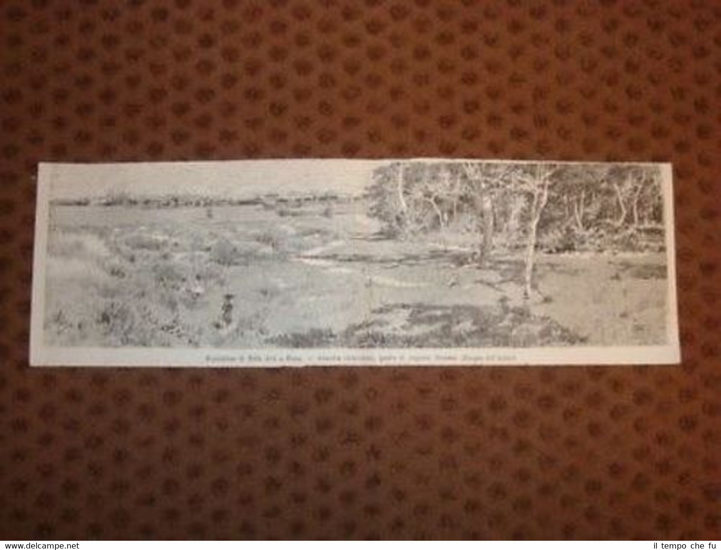 Expo Arte Roma Armonie Primaverili di Augusto Sezanne