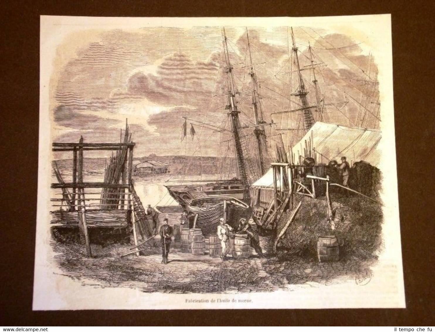 Fabrication de l'huile de morue en 1858