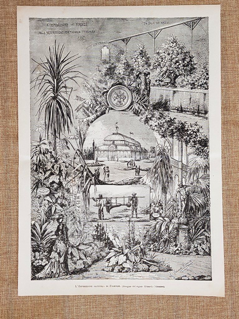 Firenze nel 1880 L'Esposizione orticola Disegno di Edoardo Ximenes